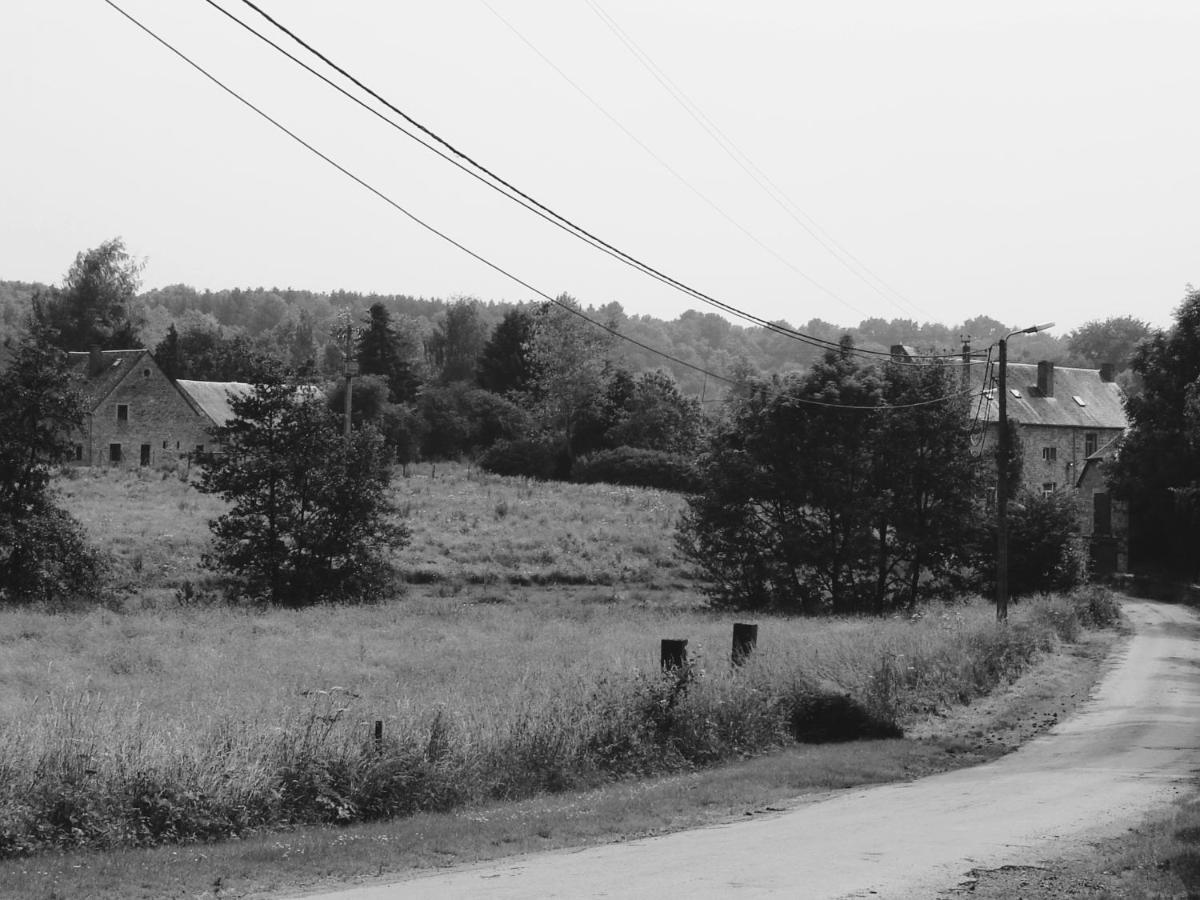 La Petite Reuleau - Gites Champetre "Le Fenil" Et "La Fermette Sauna " Ciney Buitenkant foto